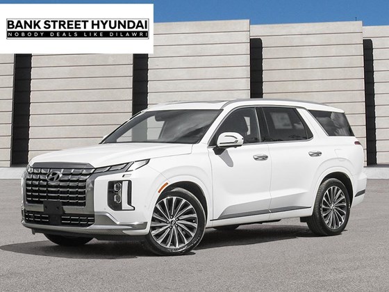 2025 Hyundai Palisade Ultimate Calligraphy Night