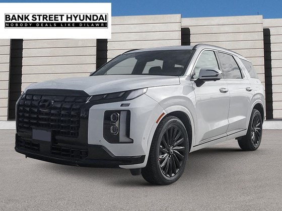 2025 Hyundai Palisade Ultimate Calligraphy Night