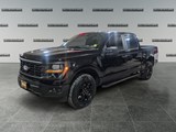 2024 Ford F-150 STX image 1