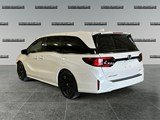 2025 Honda Odyssey Sport-L image 3