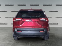 2025 Toyota RAV4 XLE AWD