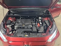 2025 Toyota RAV4 XLE AWD