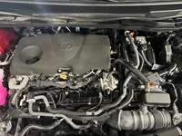 2023 Toyota Sienna XSE 7-Passenger FWD