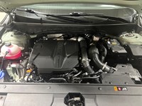 2024 Hyundai Santa Cruz Ultimate AWD w/Colour Pkg *Ltd Avail*