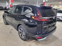 2021 Honda CR-V LX AWD