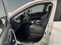 2025 Toyota RAV4 XLE AWD