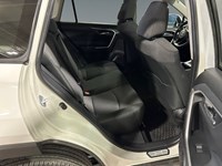 2025 Toyota RAV4 XLE AWD