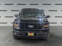 2024 Ford F-150 STX 4WD SuperCrew 5.5' Box