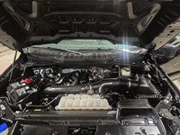 2024 Ford F-150 STX 4WD SuperCrew 5.5' Box