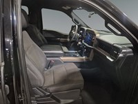2024 Ford F-150 STX 4WD SuperCrew 5.5' Box