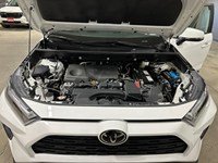 2025 Toyota RAV4 XLE AWD