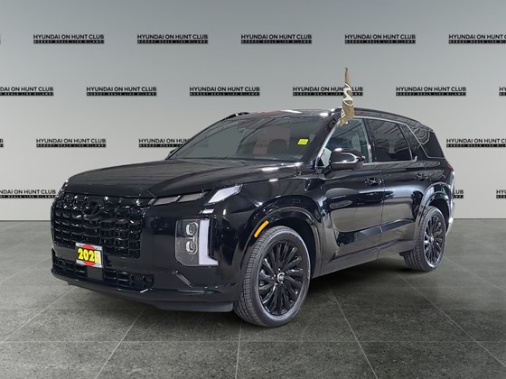 2025 Hyundai Palisade Ultimate Calligraphy Night