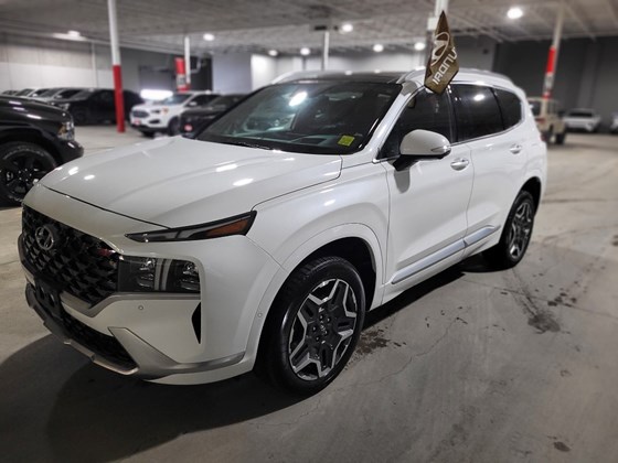 2021 Hyundai Santa Fe Ultimate Calligraphy