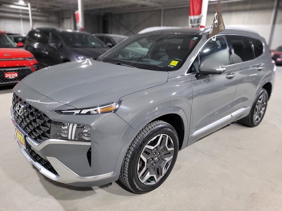 2021 Hyundai Santa Fe Ultimate Calligraphy
