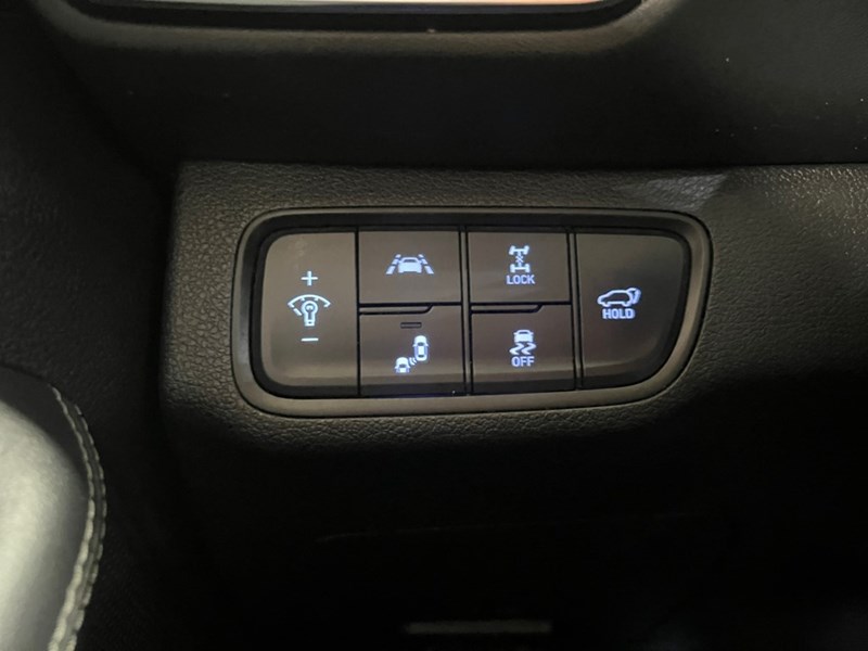 2019 Hyundai Santa Fe 2.0T Luxury AWD w/Dark Chrome Accent