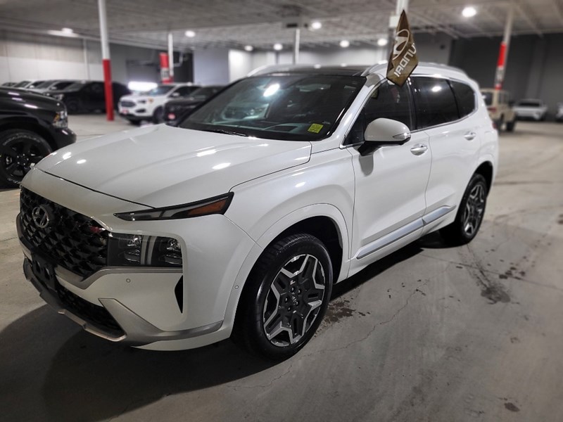 2021 Hyundai Santa Fe Ultimate Calligraphy AWD