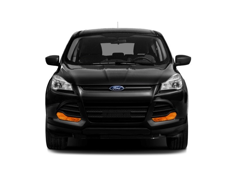 2016 Ford Escape FWD 4dr SE Exterior Shot 6