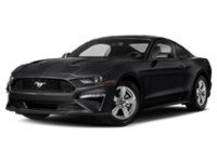 2020 Ford Mustang EcoBoost Fastback Exterior Shot 1