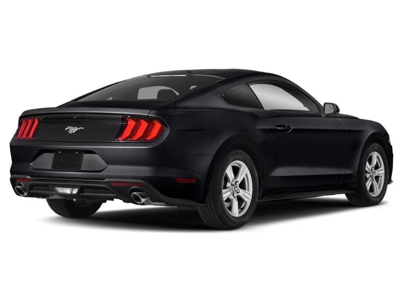 2020 Ford Mustang EcoBoost Fastback Exterior Shot 2