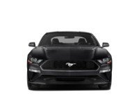 2020 Ford Mustang EcoBoost Fastback Exterior Shot 6