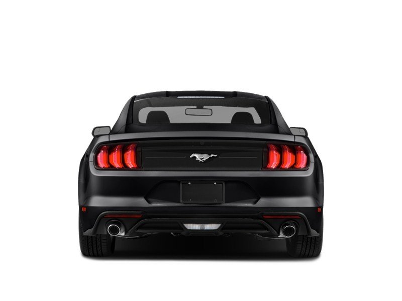 2020 Ford Mustang EcoBoost Fastback Exterior Shot 8