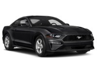 2020 Ford Mustang EcoBoost Fastback Exterior Shot 9