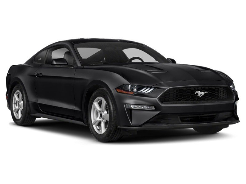 2020 Ford Mustang EcoBoost Fastback Exterior Shot 9
