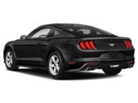 2020 Ford Mustang EcoBoost Fastback Exterior Shot 10
