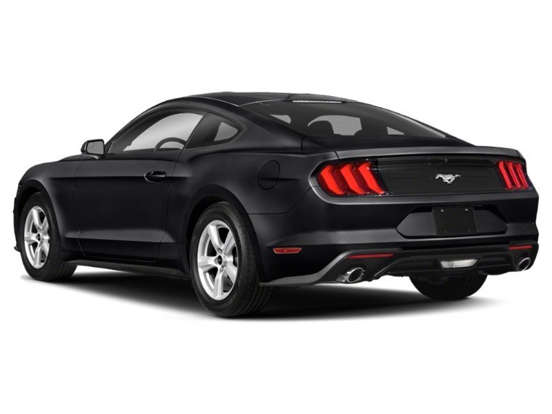 2020 Ford Mustang EcoBoost Fastback Exterior Shot 10