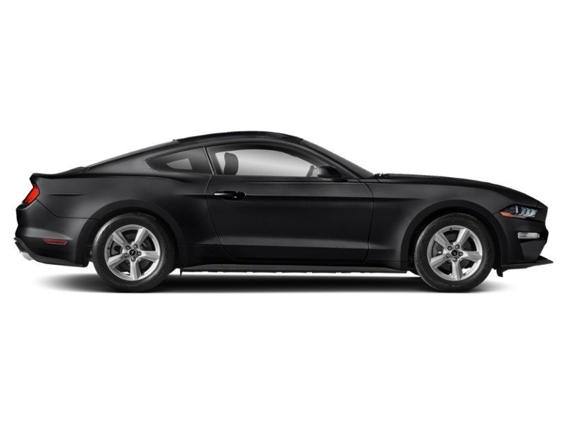 2020 Ford Mustang EcoBoost Fastback Exterior Shot 11