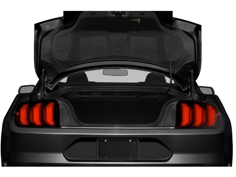 2020 Ford Mustang EcoBoost Fastback Exterior Shot 4