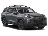 2024 Hyundai Palisade Urban 7-Passenger AWD Exterior Shot 8