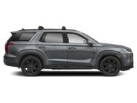 2024 Hyundai Palisade Urban 7-Passenger AWD Exterior Shot 10