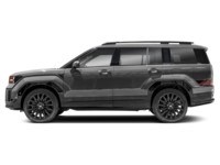 2024 Hyundai Santa Fe Ultimate Calligraphy AWD MANAGER'S DEMO Exterior Shot 6