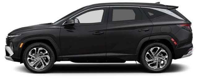 Ash Black [Black]