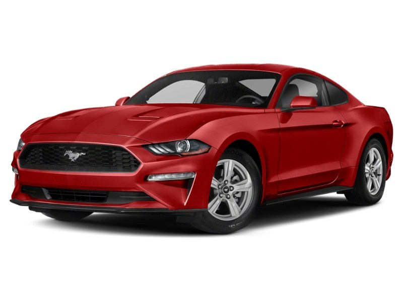 2020 Ford Mustang EcoBoost Fastback Race Red  Shot 14