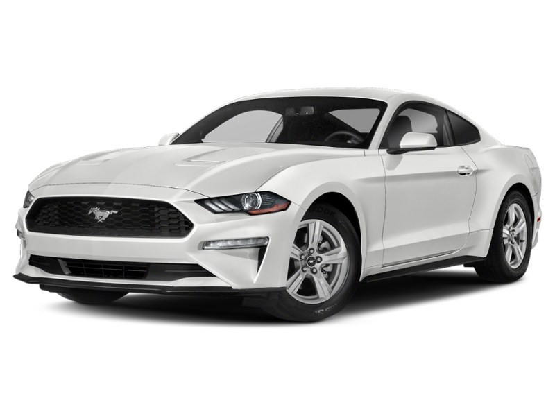 2020 Ford Mustang EcoBoost Fastback Oxford White  Shot 20