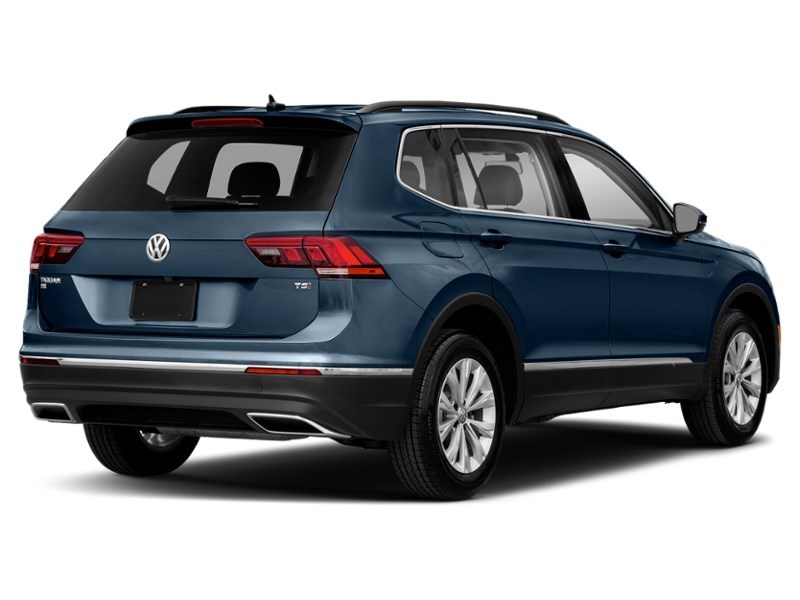 2018 Volkswagen Tiguan Trendline 4MOTION Silk Blue Metallic  Shot 6