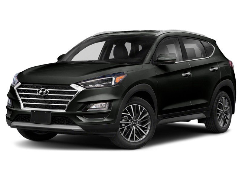 2019 Hyundai Tucson Luxury AWD Ash Black  Shot 7