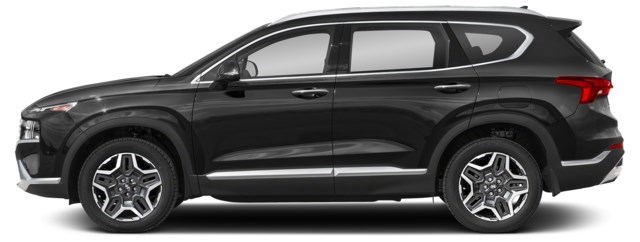 Abyss Black [Black]