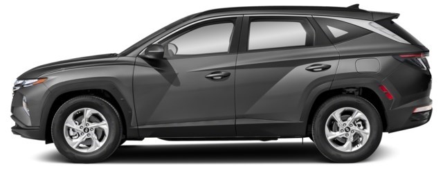 Amazon Grey [Grey]