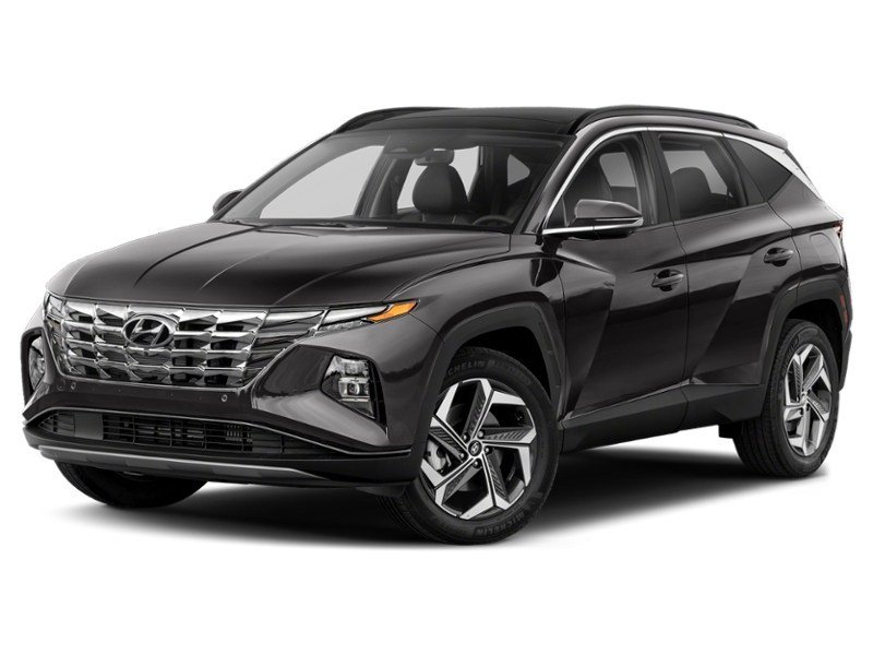 2023 Hyundai Tucson Hybrid Ultimate AWD Ash Black  Shot 18