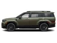 2025 Hyundai Santa Fe Ultimate Calligraphy AWD Rockwood Green  Shot 3
