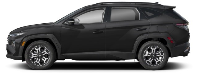 Ash Black [Black]