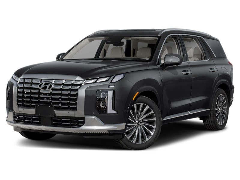 2025 Hyundai Palisade Ultimate Calligraphy w/Beige 7-Passenger AWD Abyss Black  Shot 1