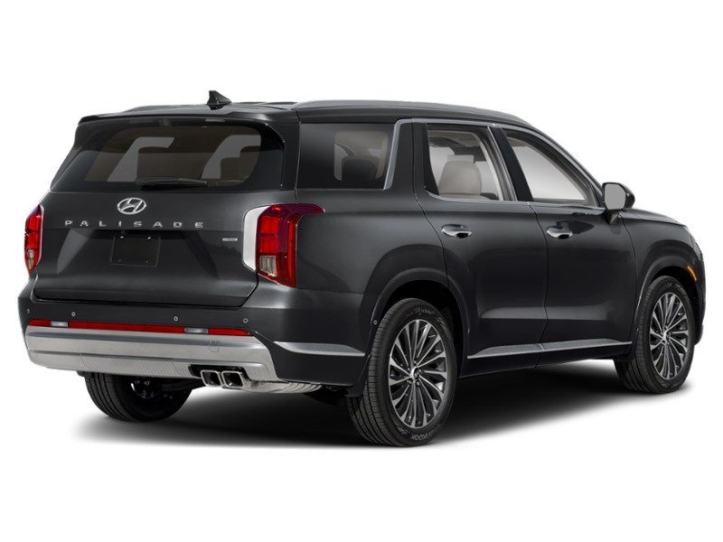 2025 Hyundai Palisade Ultimate Calligraphy w/Beige 7-Passenger AWD Abyss Black  Shot 6